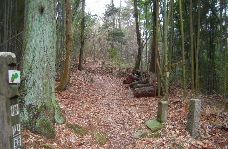 f:id:boianuf:20131012154819j:image