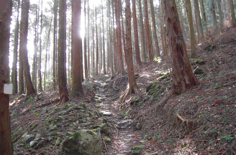 f:id:boianuf:20131012155335j:image