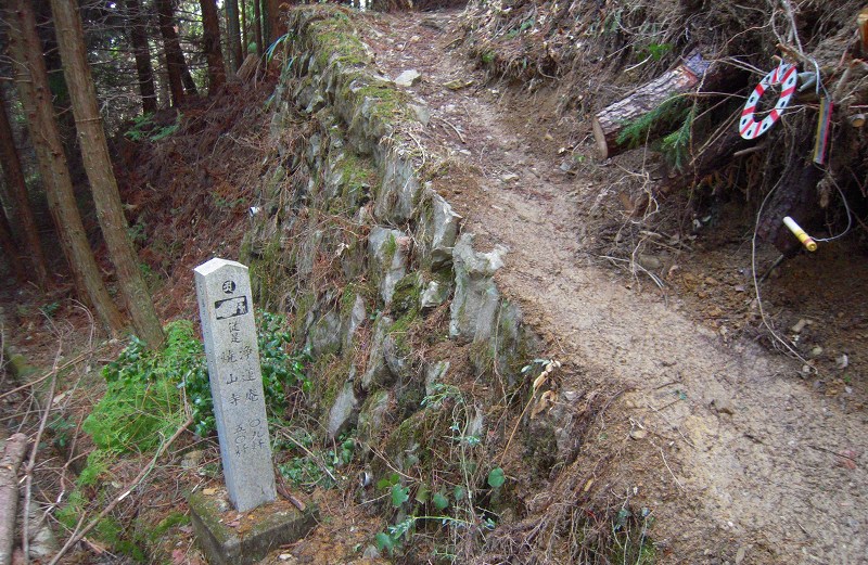 f:id:boianuf:20131012155336j:image