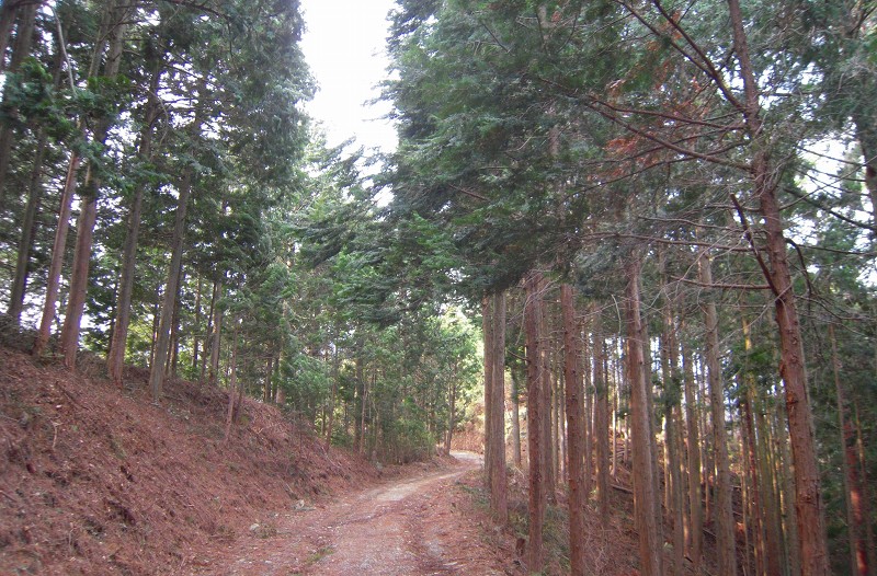 f:id:boianuf:20131012155339j:image