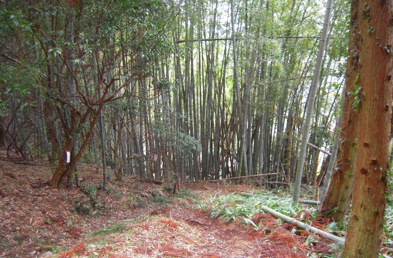 f:id:boianuf:20131012160148j:image
