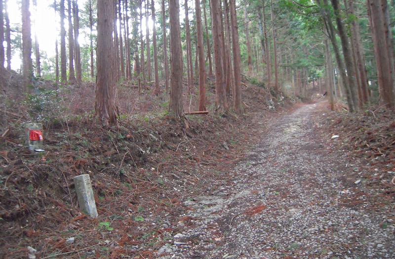 f:id:boianuf:20131012160703j:image