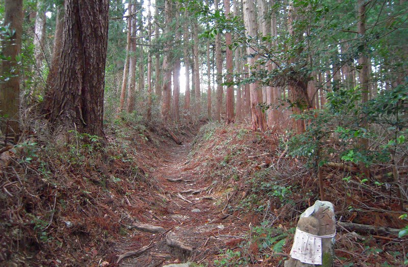 f:id:boianuf:20131012160705j:image