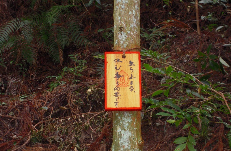 f:id:boianuf:20131012160710j:image