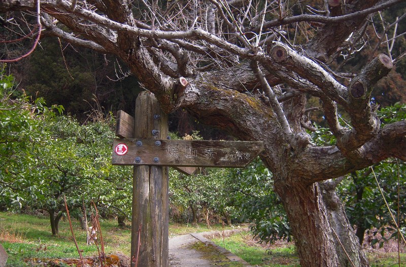 f:id:boianuf:20131013131947j:image