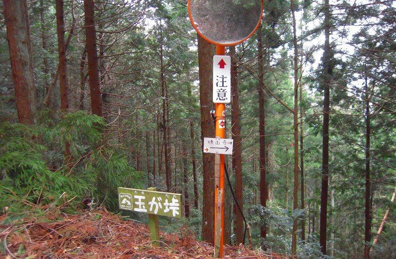 f:id:boianuf:20131014172801j:image