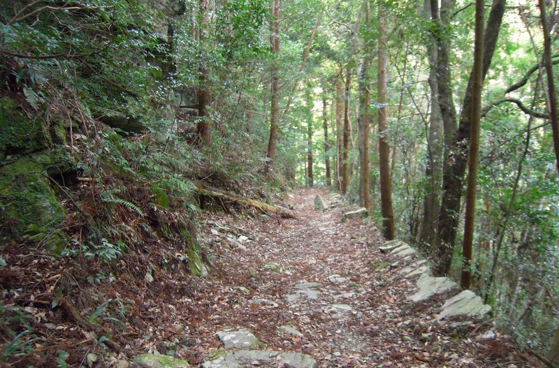 f:id:boianuf:20131014172805j:image