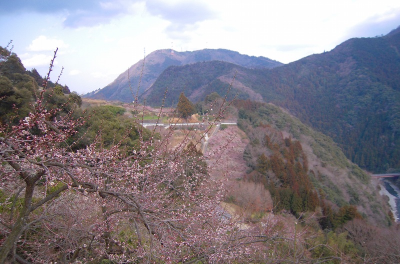 f:id:boianuf:20131014174206j:image