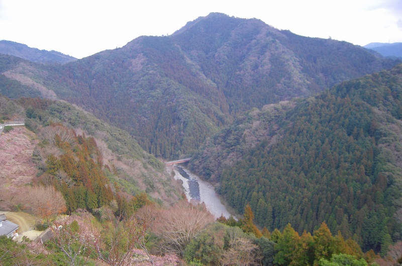 f:id:boianuf:20131014174207j:image