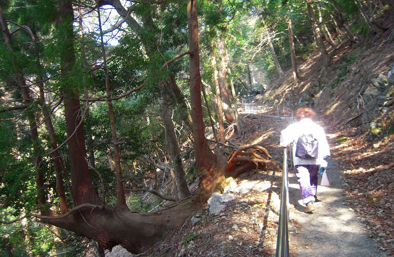 f:id:boianuf:20131017164114j:image