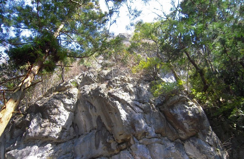 f:id:boianuf:20131017164401j:image