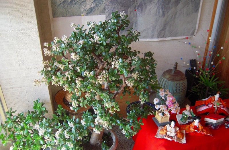f:id:boianuf:20131017164620j:image
