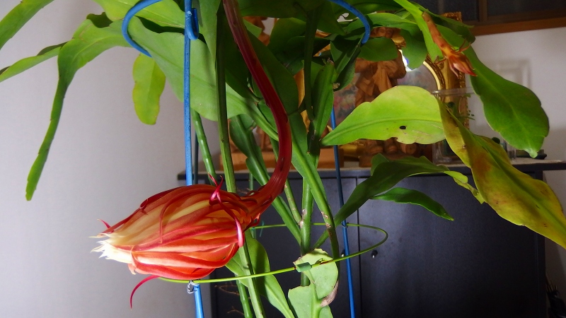f:id:boianuf:20131018090611j:image