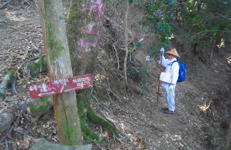 f:id:boianuf:20131019125707j:image