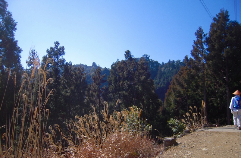 f:id:boianuf:20131019125716j:image
