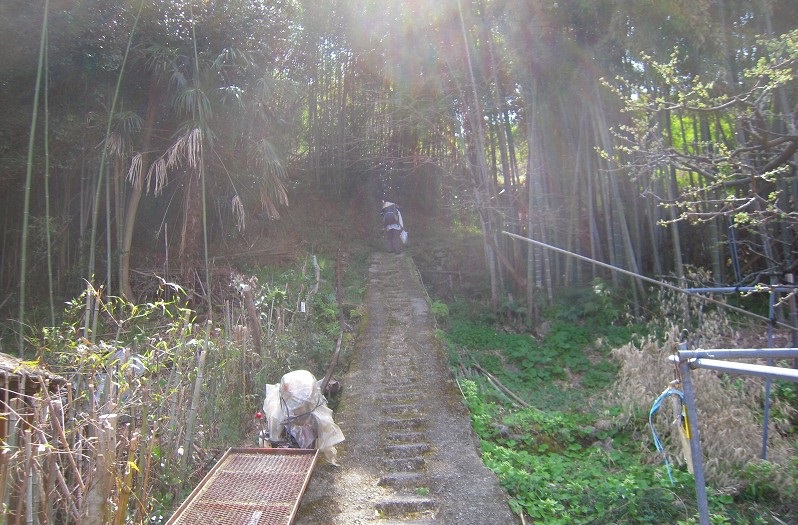 f:id:boianuf:20131105140035j:image