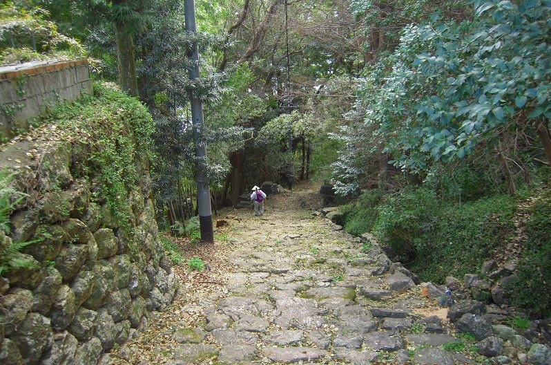 f:id:boianuf:20131105140207j:image