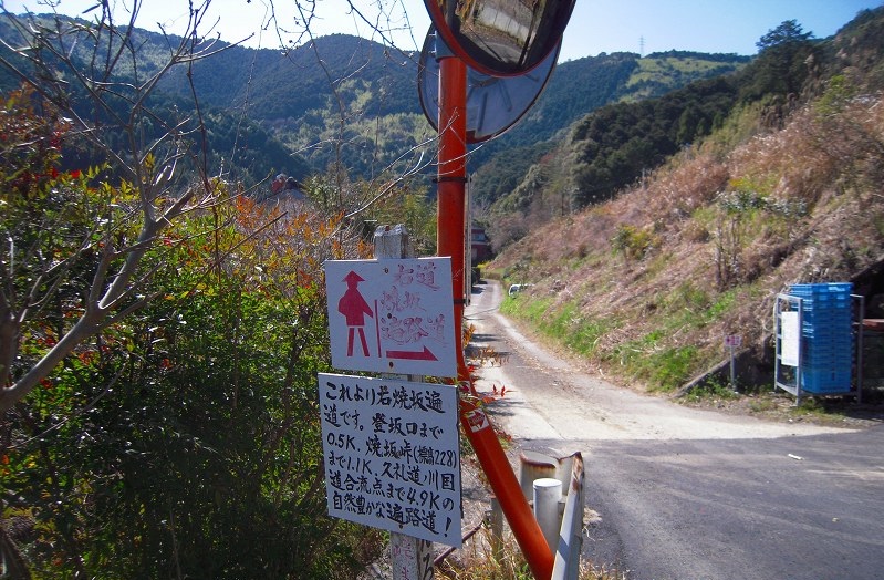 f:id:boianuf:20131108124153j:image