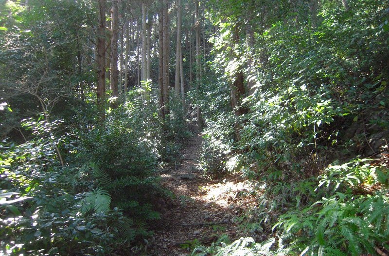 f:id:boianuf:20131108124503j:image
