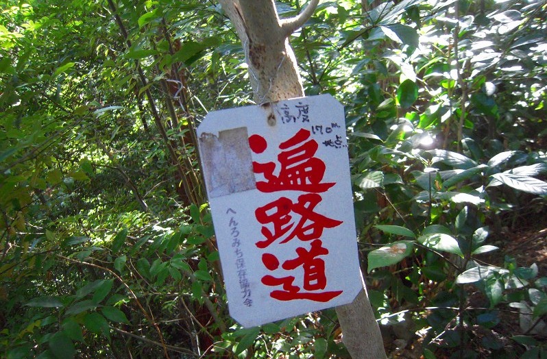 f:id:boianuf:20131108124504j:image