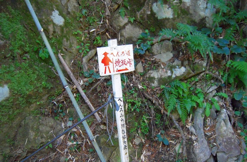 f:id:boianuf:20131108124510j:image