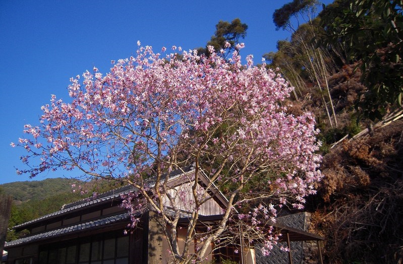 f:id:boianuf:20131109170520j:image