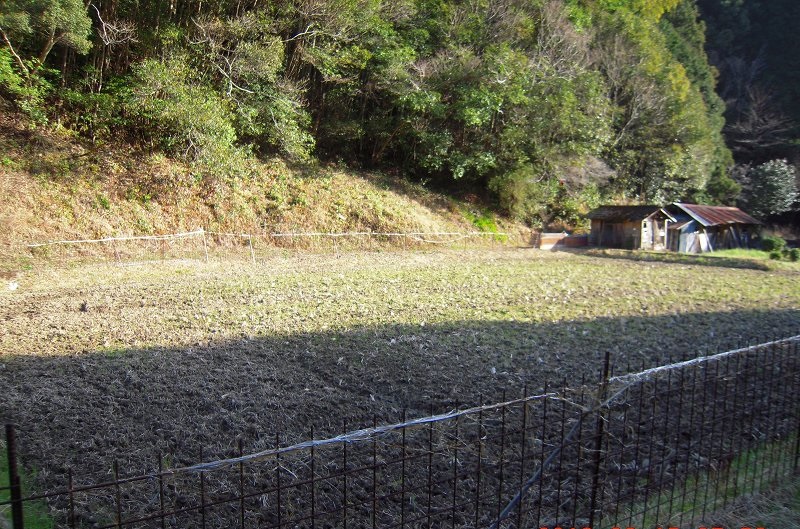 f:id:boianuf:20131109170721j:image