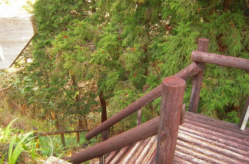 f:id:boianuf:20131109170902j:image