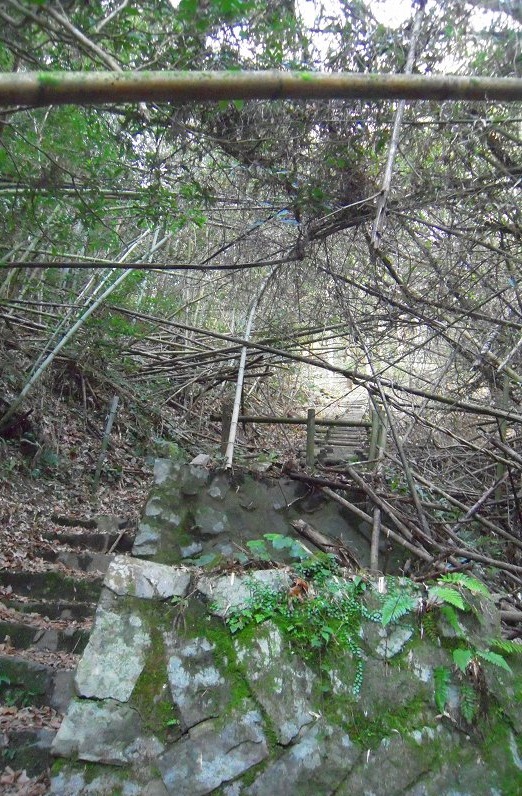 f:id:boianuf:20131109170904j:image