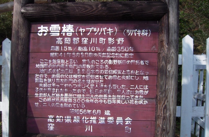 f:id:boianuf:20131109171022j:image