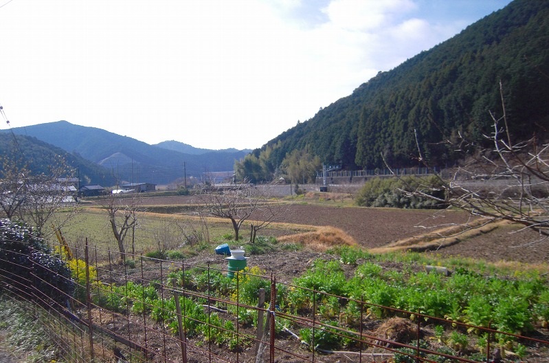 f:id:boianuf:20131109171024j:image