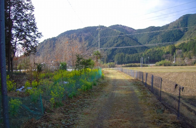 f:id:boianuf:20131109171026j:image