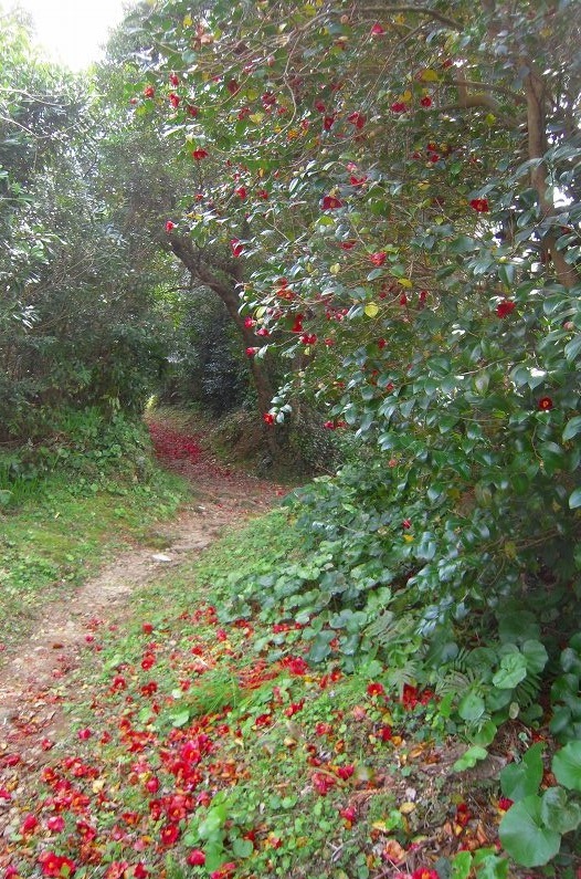 f:id:boianuf:20131112155129j:image f:id:boianuf:20131112155129j:image