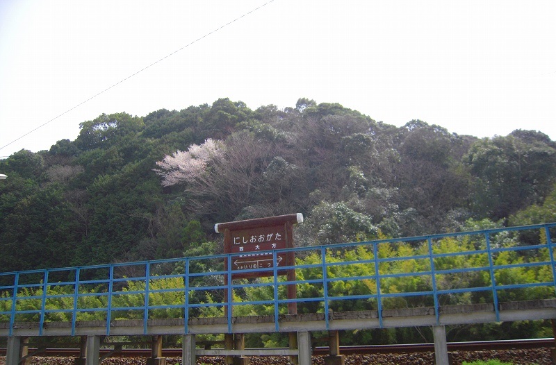 f:id:boianuf:20131113162435j:image f:id:boianuf:20131113162435j:image
