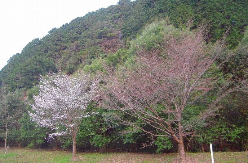 f:id:boianuf:20131115144659j:image f:id:boianuf:20131115144659j:image