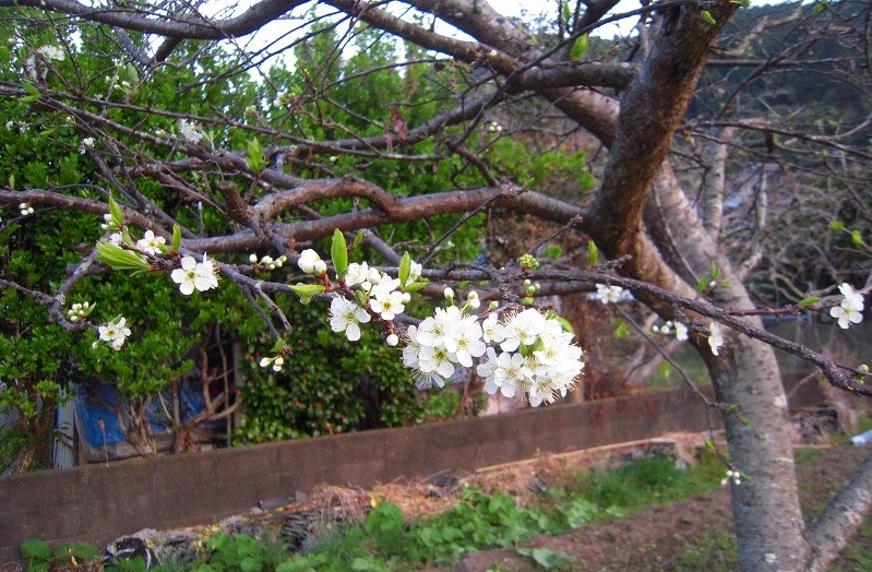 f:id:boianuf:20131115144701j:image f:id:boianuf:20131115144701j:image
