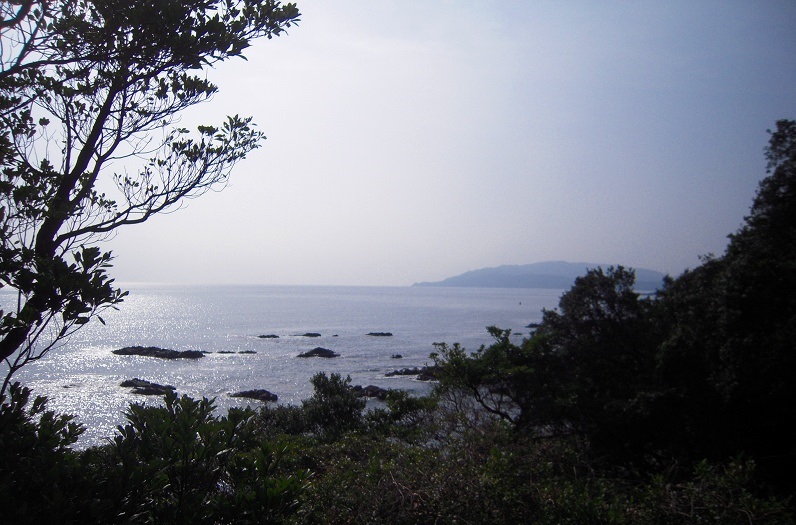 f:id:boianuf:20131115150101j:image f:id:boianuf:20131115150101j:image
