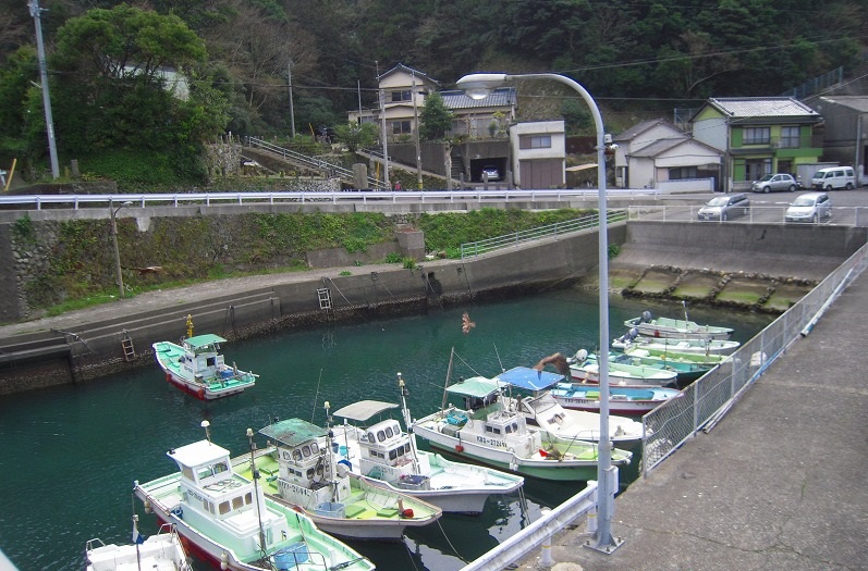 f:id:boianuf:20131115154522j:image f:id:boianuf:20131115154522j:image