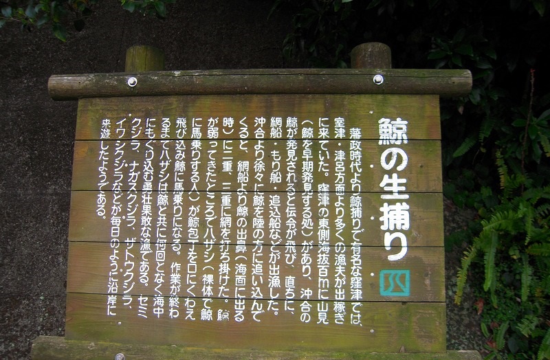 f:id:boianuf:20131115154523j:image f:id:boianuf:20131115154523j:image