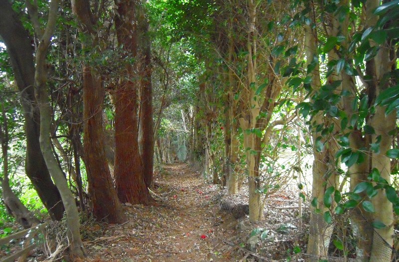 f:id:boianuf:20131115154529j:image f:id:boianuf:20131115154529j:image