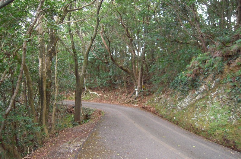 f:id:boianuf:20131115154531j:image f:id:boianuf:20131115154531j:image