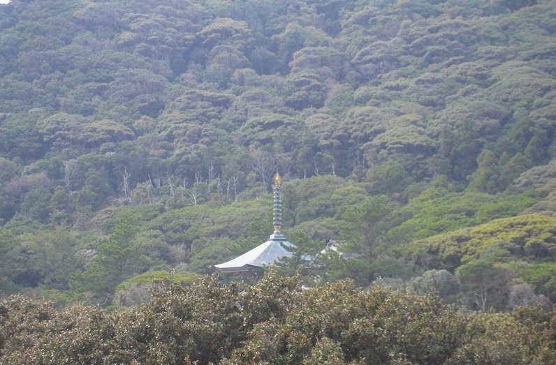 f:id:boianuf:20131115161209j:image f:id:boianuf:20131115161209j:image