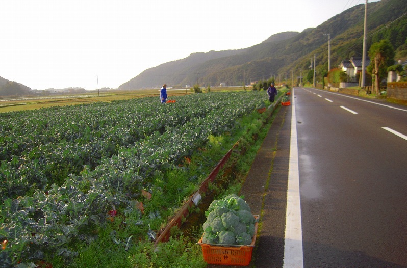 f:id:boianuf:20131117142528j:image