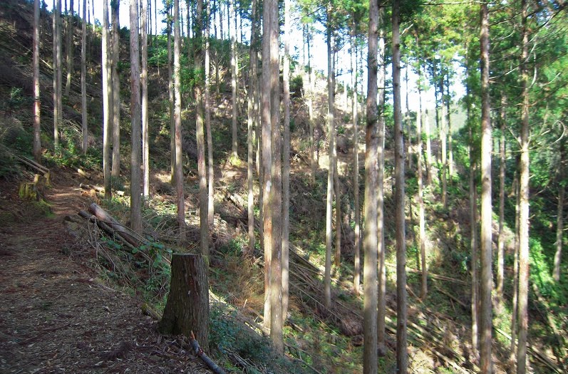 f:id:boianuf:20131117143035j:image
