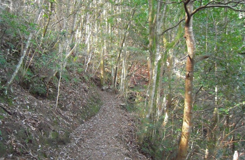 f:id:boianuf:20131117143036j:image