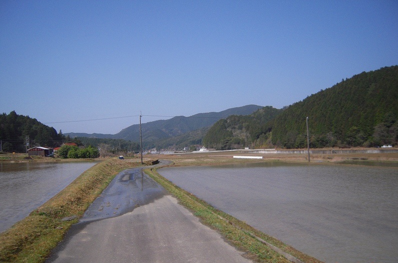 f:id:boianuf:20131117143240j:image