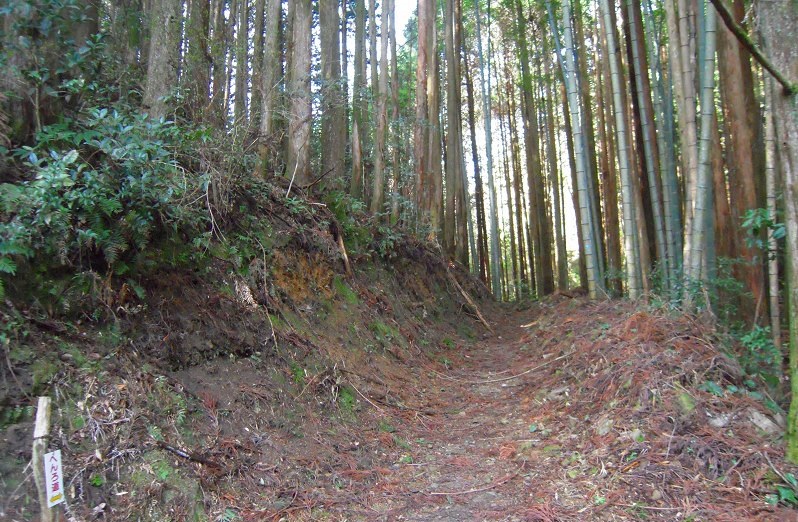 f:id:boianuf:20131117143246j:image