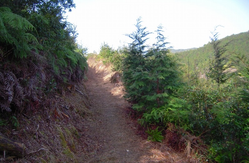 f:id:boianuf:20131117143247j:image