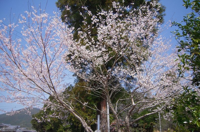 f:id:boianuf:20131117144106j:image