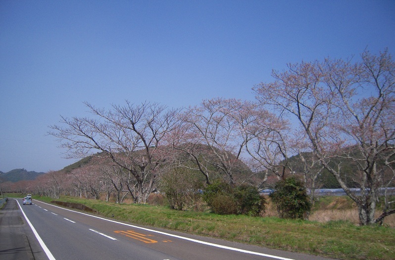 f:id:boianuf:20131117144336j:image